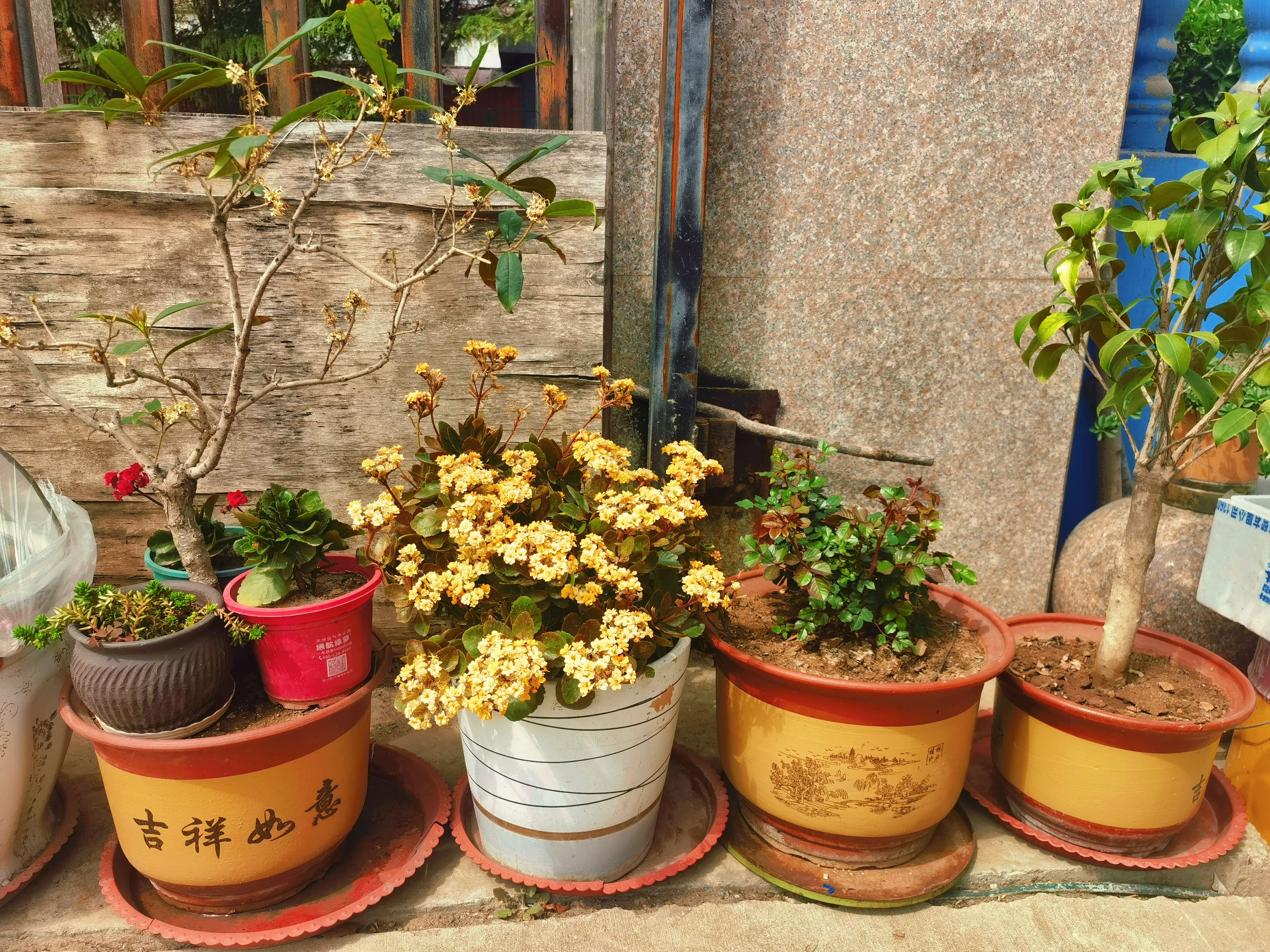 廠區(qū)一隅：春日好風(fēng)光~